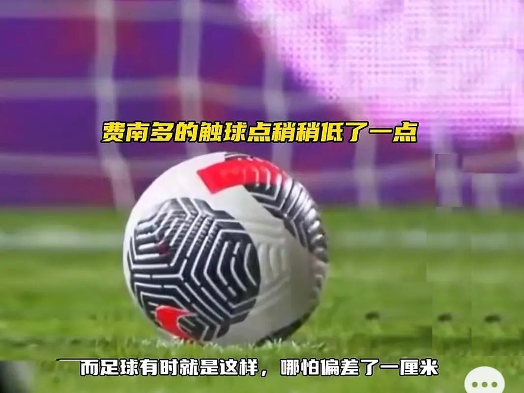 尾巴